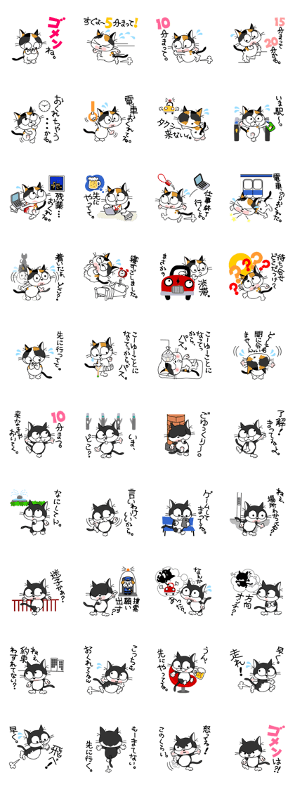 Communication of the cat / Waiting Communication of the cat / Waiting