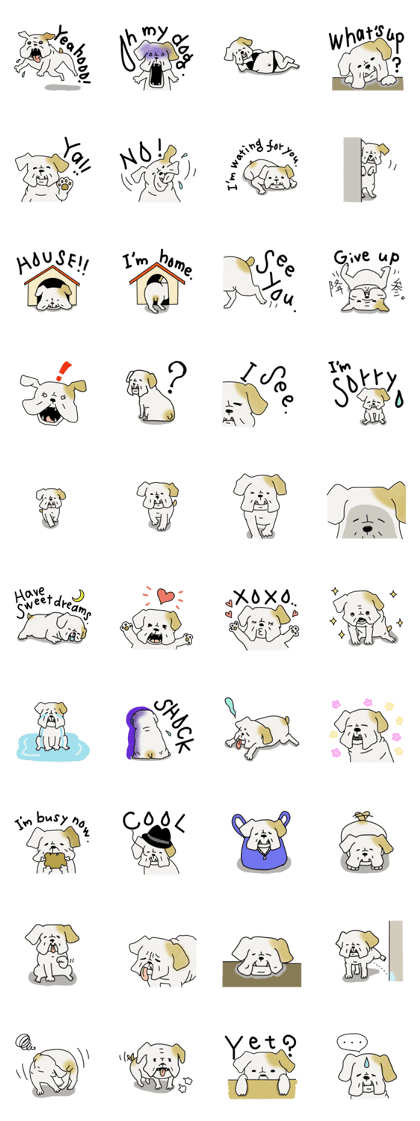 An ugly and cute(kawaii) dog