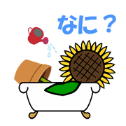 Feeling of a sunflower