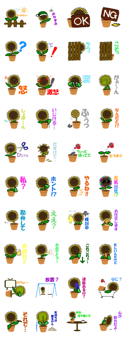 Feeling of a sunflower