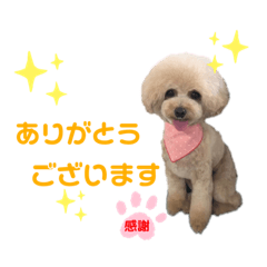 mizuki_20200209215527