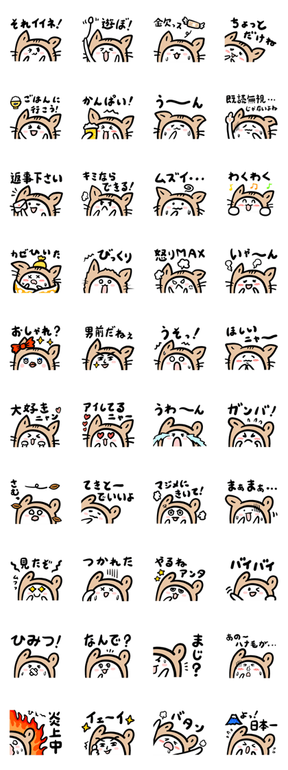 Cute is a cat and a rabbit