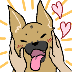 雑種犬のクロハナ Ver バレンタイン Line スタンプ Line Store 雑種犬のクロハナ Ver バレンタイン Line スタンプ Line Store