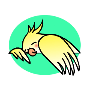 Cockatiel(Nymphicus hollandicus)
