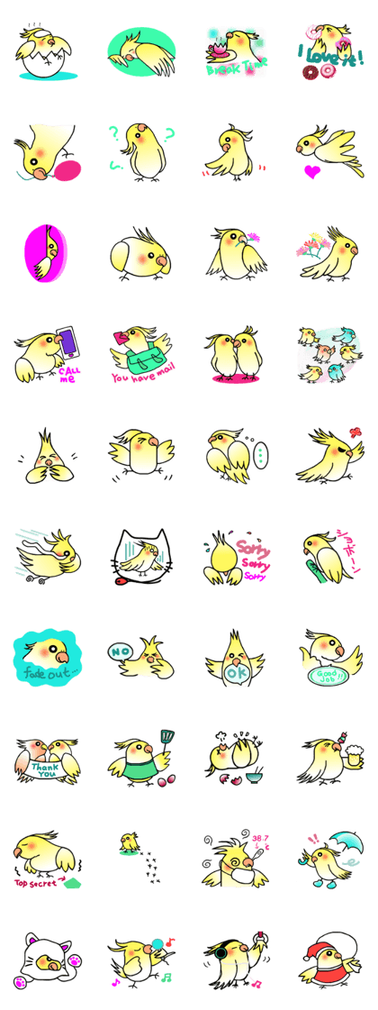 Cockatiel(Nymphicus hollandicus)