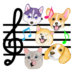 Music of dogs and Cats.