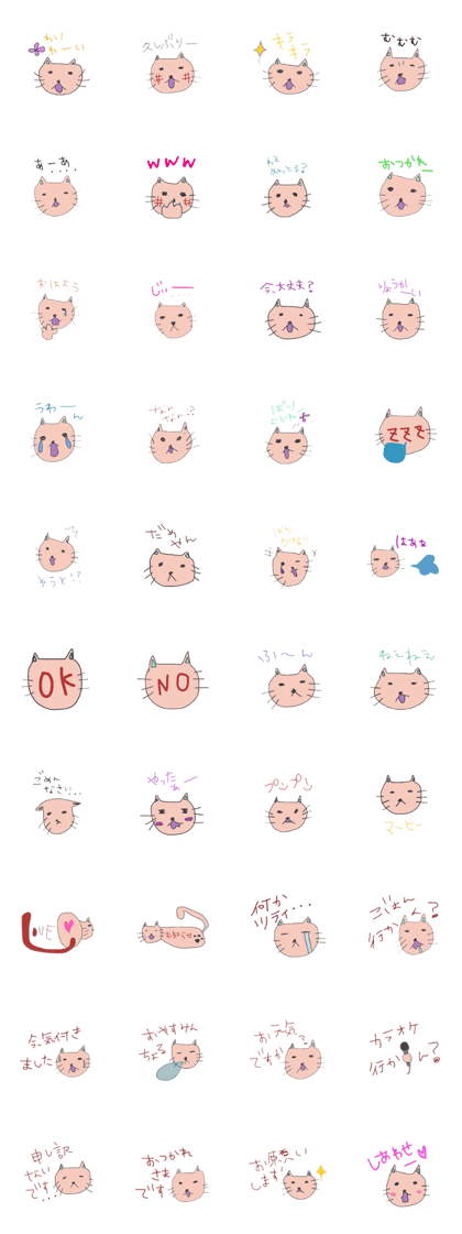 Fukuoka cat.Sasami chan