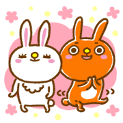 Rabbit couple milk and cocoa Rabbit couple milk and cocoa