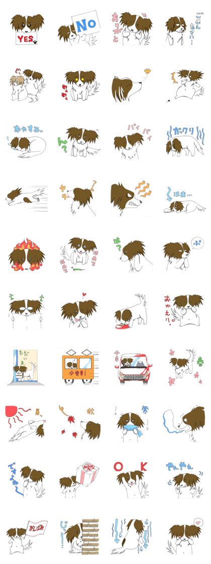 My Teng of a papillon My Teng of a papillon