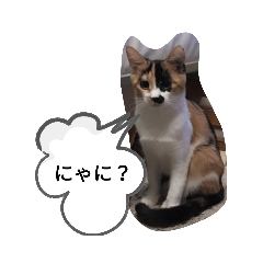 ken_20200209194906