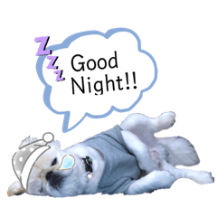 rina_20200209232705