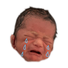 haruna_20200209233442