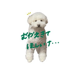 tomomi_20200210001015