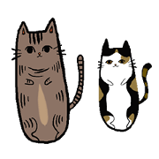 Meow Box