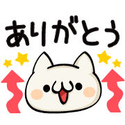 A cat with a message