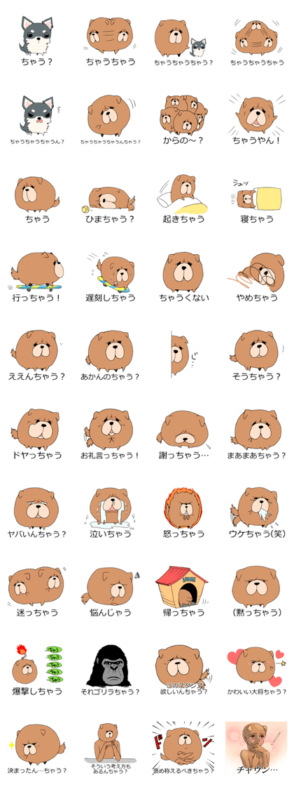 Chow Chow to Chow YO!!