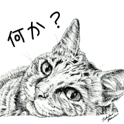 Cats & Dogs 1 with Words