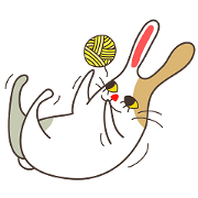 Raven the cabbit