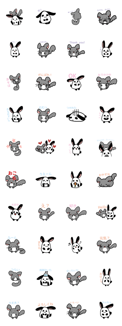 Chinchilla and Rabbit