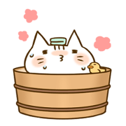 plump Kitten
