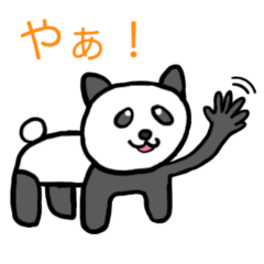 Five-legged panda