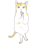 Yoga with Cat