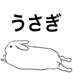 Rabbit behavior