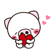 pig heart 16