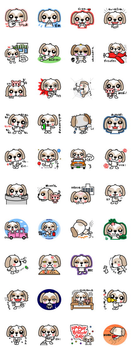 Every day of a shih tsu   The 2nd