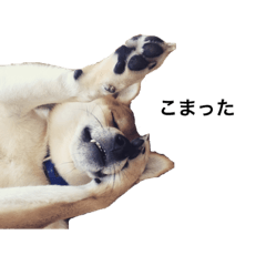 ace_20200210165723