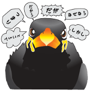 Conjunctions of the kyu-chan