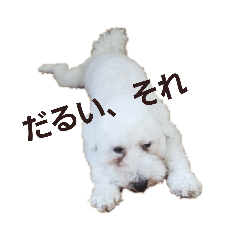 natsumi_20200210181045