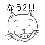Now cat2