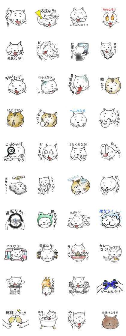 Now cat2
