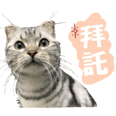 丟丟真的很可愛*