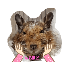 saori_20200210232254