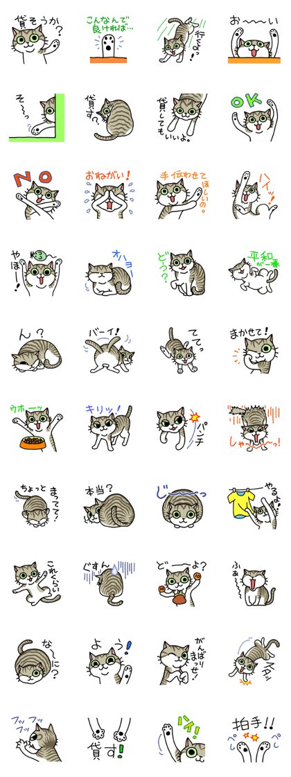 Cats that want to help someone