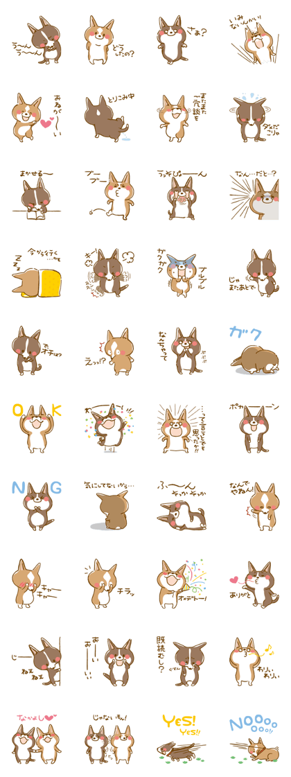 Corgi(Pembroke and Cardigan)