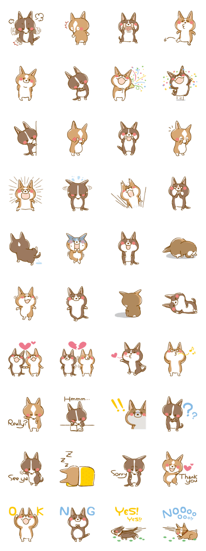 Corgi(Pembroke and Cardigan)English ver.