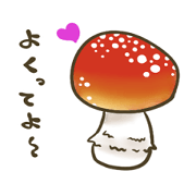 Mushroom of the fascination