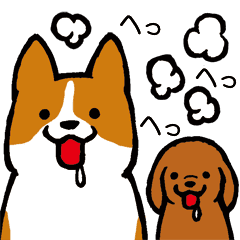 しつこい犬 Line スタンプ Line Store