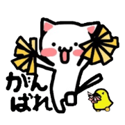 Come here Nyanko with Gaa!