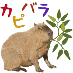 ほほえみフレンズ カピバラのゆるい日常 Line スタンプ Line Store ほほえみフレンズ カピバラのゆるい日常 Line スタンプ Line Store