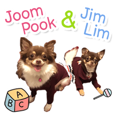 JoomPook & JimLim