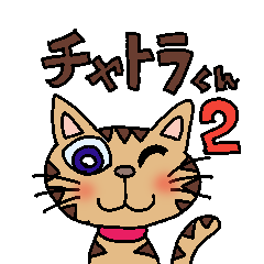 osaka tabby cat 2
