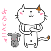 POCHI of a cat