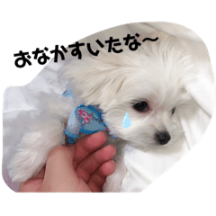 nanami_20200210181805