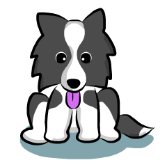The Border Collie "Luppy"