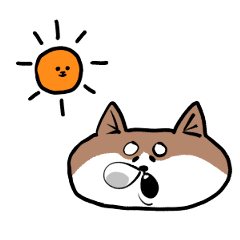 Shiba Inu Mochi and Dog like an egg
