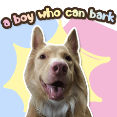 #a boy who can bark